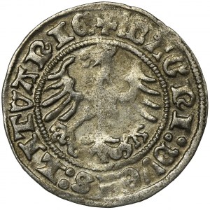 Sigismund I the Old, Halfgroat Vilnius 1511