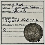 Sigismund I the Old, Schilling Danzig 1538 - ex.Marzęta