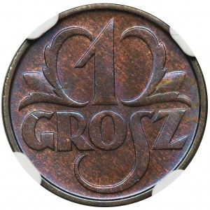 1 grosz 1934 - NGC MS65 BN