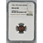 1 grosz 1931 - NGC MS66 RB