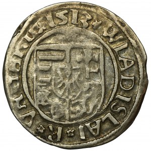 Hungary, Ladislaus II Jagiellon, Denarius Kremintz 1513 KG
