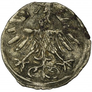 Sigismund II August, Denarius Vilnius 1556