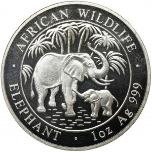 Somalia, 100 Shillings 2007 African fauna - African elephant