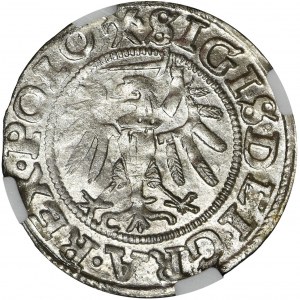 Sigismund I the Old, Schilling Danzig 1539 - NGC MS65