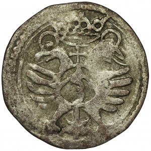 Germany, City of Göttingen, Dreier 1555