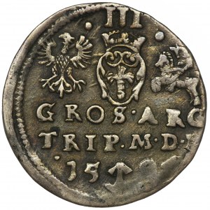 Sigismund III Vasa, 3 Groschen Vilnius 1594