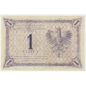 1 złoty 1919 - S.1 J -