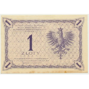 1 złoty 1919 - S.45 G -