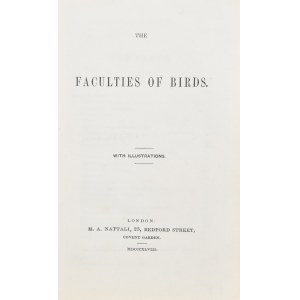 Rennie James - The Faculties of Birds.