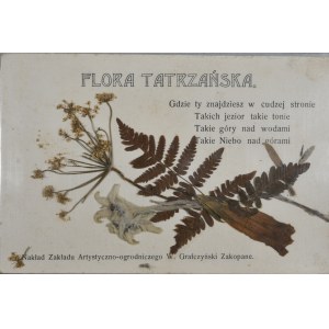 Flora Tatrzańska.