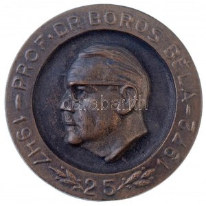 Nowotarski István (1909-) 1972. Prof. Dr. Boros Béla 1947-1972 25 egyoldalas, öntött Br emlékérem (466,97g/100mm) T:1...