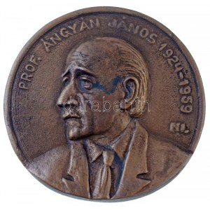 Nowotarski István (1909-) 1979. Prof. Ángyák János 1924-1959 egyoldalas, öntött Br emlékérem (305,36g/95mm) T:1- ...