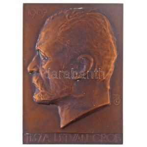 Beck Ötvös Fülöp (1873-1945) 1907. Tisza István gróf egyoldalas Br plakett (128,34g/76x54mm) T:1-,2 / Hungary 1907. ...