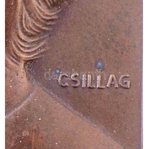 Csillag István (1881-1968) 1928. Rákosi Szidi - Aetatis Svae színésznő Br emlékplakettje, hátoldalán LUDVIG BPEST...