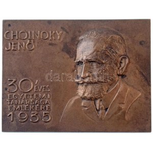 1935. Cholnoky Jenő 30 éves egyetemi tanárságnak emlékére egyoldalas, öntött Br plakett (102,72g/60x79mm) T:1- ...