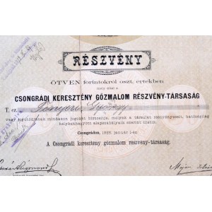 Csongrád 1885. Csongrádi Keresztény Gőzmalom Részvénytársaság névre szóló részvény 50Ft-ról, felülbélyegzésekkel...