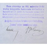 Budapest 1911. Pannónia Magyar Viszontbiztosító Intézet névre szóló részvénye 600K-ról, szárazpecséttel...