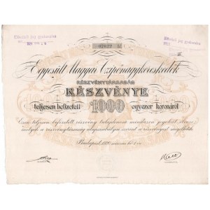 Budapest 1920. Egyesült Magyar Czipőnagykereskedők Részvénytársaság részvénye 1000K-ról, szelvényekkel...