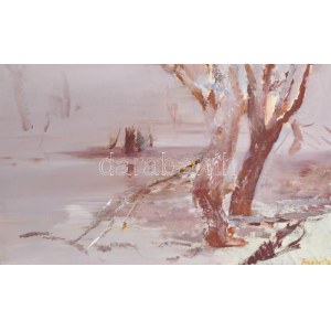 Fejér Csaba (1936-2002): Tiszapart télen. Olaj, farost, jelzett, fa keretben, 40×65 cm / Csaba Fejér ((1936-2002)...