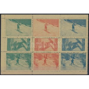 1930 Téli sport levélzáró kisív / label minisheet of 9