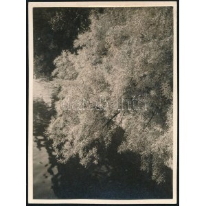 1931 Kinszki Imre (1901-1945) budapesti fotóművész által datált és sorszámozott (905) vintage fotó, 8,5x6...