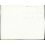 cca 1934 Kinszki Imre (1901-1945) budapesti fotóművész hagyatékából...