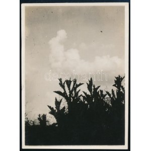 1932 Kinszki Imre (1901-1945) budapesti fotóművész hagyatékából, a szerző által feliratozott vintage fotó (Sziluett), 8...