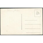 cca 1940 Báró Hatvany Lajos (1880-1961) író, mecénás fotója, 13×8,5 cm