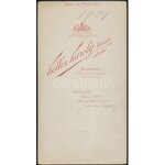 Saxlehner Andrásné, Pelikán Emília (1835-1924) kabinetfotó (Koller) 11x21 cm