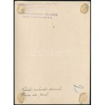cca 1930 Csepel, kikötői rakodó daruk, hátoldalon feliratozott fotó, 17×12 cm