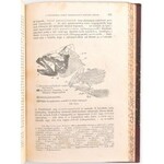 Margó Tivadar: A tudományos állattan kézikönyve. I. köt. Általános állattan. Első rész. 202 fametszettel. Pest, 1868....