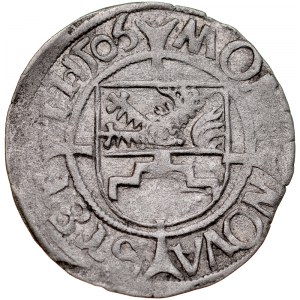 Pomorze, Bogusław X 1478-1523, Szeląg 1506, Szczecin.
