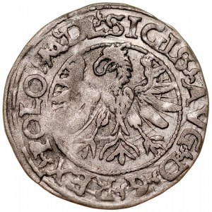 Zygmunt II August 1545-1572, Półgrosz 1566, Tykocin. RR.