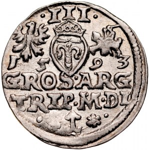 Zygmunt III 1587-1632, Trojak 1593, Wilno, R.