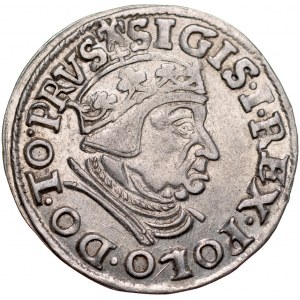Zygmunt I Stary 1506-1548, Trojak 1538, Gdańsk.