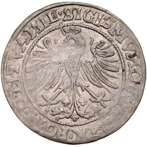 Zygmunt I Stary 1506-1548, Grosz 1535, Wilno.