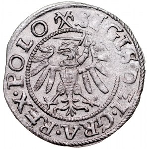 Zygmunt I Stary 1506-1548, Szeląg 1539, Gdańsk.