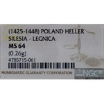 Śląsk, Halerz XV w., Av.: Św. Piort, Rv.: Śląski Orzeł, Legnica.