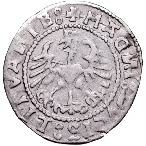 Zygmunt I Stary 1506-1548, Półgrosz 1528 V, Wilno.
