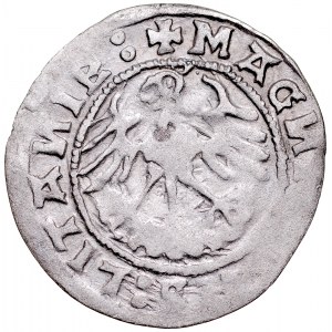 Zygmunt I Stary 1506-1548, Półgrosz 5191, Wilno.