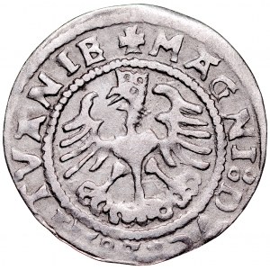 Zygmunt I Stary 1506-1548, Półgrosz 152A, Wilno.