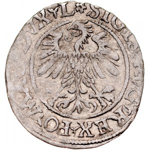 Zygmunt II August 1545-1572, Półgrosz 1560, Wilno. RRR.