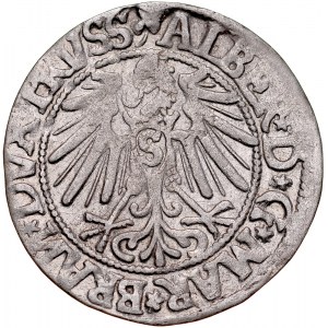 Prusy Książęce, Albrecht Hohenzollern 1525-1568, Grosz 1545, Królewiec.
