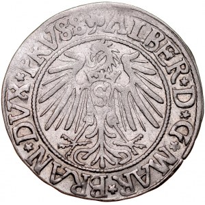Prusy Książęce, Albrecht Hohenzollern 1525-1568, Grosz 1542, Królewiec.