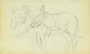 Jacek Malczewski (1854-1929), Para koni stojących w zaprzęgu z dyszlem