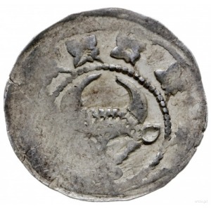 kwartnik, 1. ćwierć XIV w., mennica Wołów?; Aw: Głowa w...