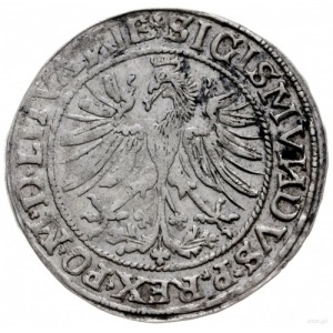 grosz 1535, Wilno; odmiana bez litery pod Pogonią, lite...