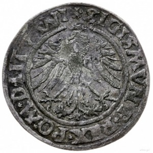 grosz 1535, Wilno; odmiana bez litery pod Pogonią, końc...