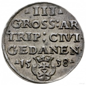 trojak 1538, Gdańsk; końcówka napisu na awersie PRVSS i...