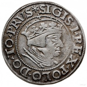 grosz 1548, Gdańsk; Aw: Popiersie w prawo i napis SIGIS...